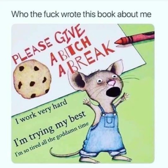 Meet your Posher, Posh - Picture 1 of 3